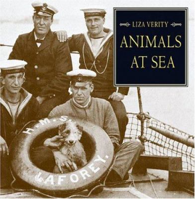Animals at Sea
