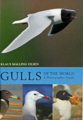 Gulls of the World : A Photographic Guide