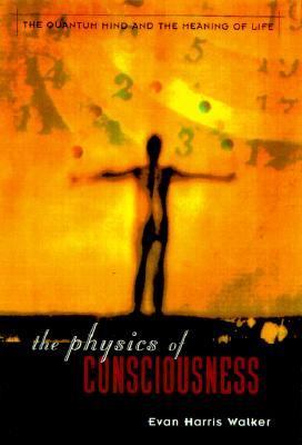 The Physics of Consciousness : The Quantum Mind and the Meaning of Life