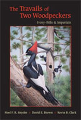 The Travails of Two Woodpeckers : Ivory-Bills and Imperials