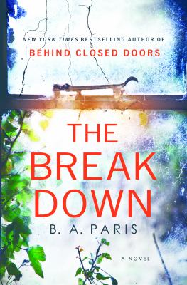 The Breakdown : A Novel