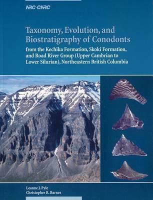 Taxonomy, Evolution and Biostratigraphy of Condonants from the Kechika Formation, Skoki Formation and Road River Group (Upper Cambrian to Lower Silurian), Northeastern British Columbia