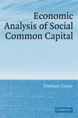 Economic Analysis of Social Common Capital