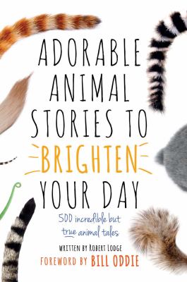 Adorable Animal Stories to Brighten Your Day : 500 Incredible but True Animal Tales