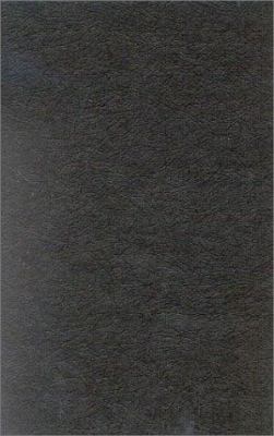 Media and Globalization : Why the State Matters