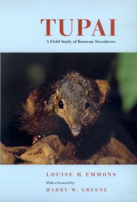 Tupai : A Field Study of Bornean Treeshrews
