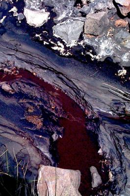 On Active Grounds : Agency and Time in the Environmental Humanities