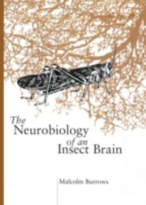 The Neurobiology of an Insect Brain