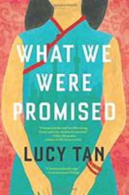 What We Were Promised