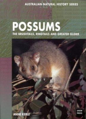 Possums : Brushtails, Ringtails, and the Greater Glider