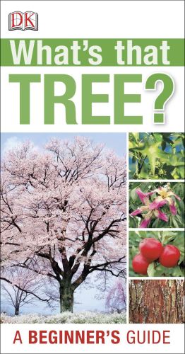 What's That Tree? : A Beginner's Guide