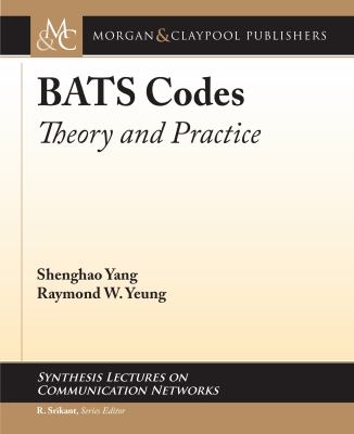 Bats Codes : Theory and Practice