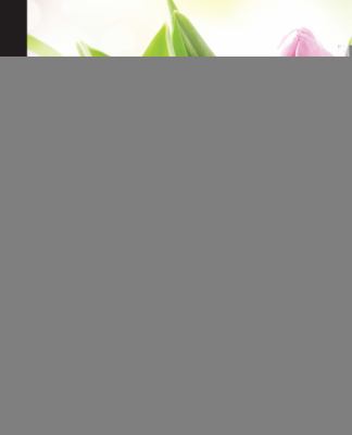 Mastering Backbone. js