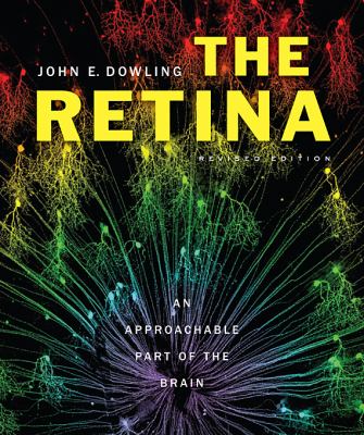 The Retina : An Approachable Part of the Brain