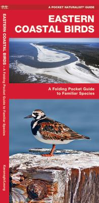 Eastern Coastal Birds : A Folding Pocket Guide to Familiar Species