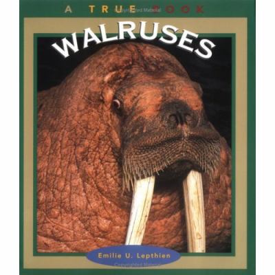 Walruses