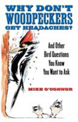 Why Don't Woodpeckers Get Headaches? : And Other Bird Questions You Know You Want to Ask