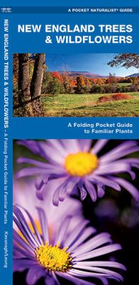 New England Trees and Wildflowers : A Folding Pocket Guide to Familiar Species