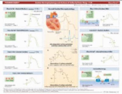 MemoCharts Pharmacology : Drug therapy for cardiac arrhythmias (Review Chart)