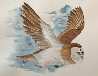 Hootin Goes Outside!