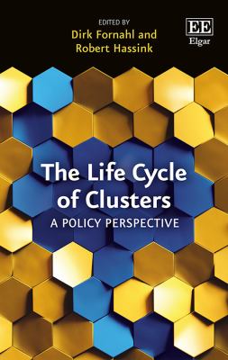The Life Cycle of Clusters : A Policy Perspective