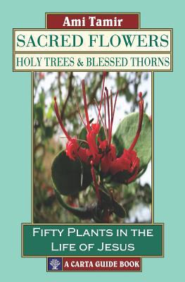 Sacred Flowers : Holy Trees and Blessed Thorns - Fifty Plants in the Life of Jesus