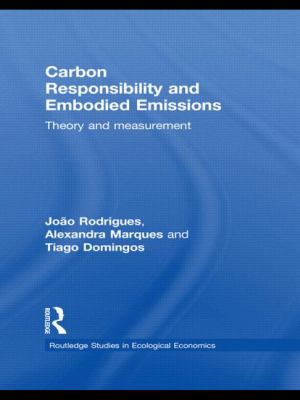 Carbon Responsibility and Embodied Emissions : Theory and Measurement