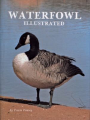 Waterfowl Illustrated