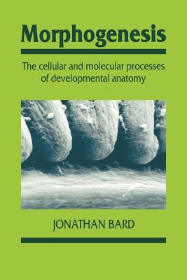 Morphogenesis : The Cellular and Molecular Processes of Developmental Anatomy