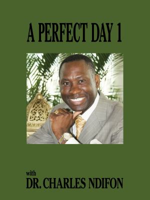 A Perfect Day 1 : Volume 1