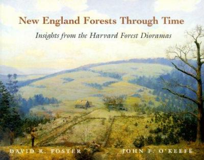 New England Forests Through Time : Insights from the Harvard Forest Dioramas