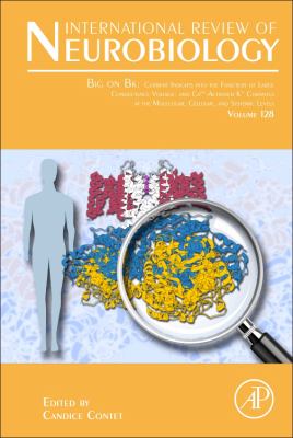 Big on Bk: Current Insights into the Function of Large Conductance Voltage- and Ca2+- Activated K+ Channels at the Molecular, Cellular and Systemic Levels