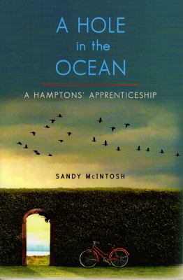 A Hole in the Ocean : A Hampton's Apprenticeship