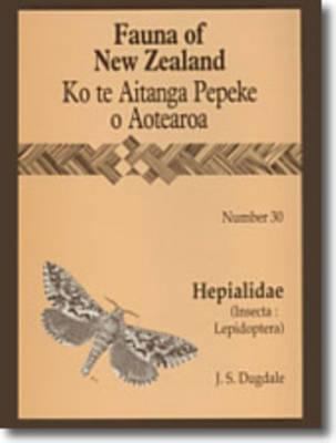 Hepialidae (Insecta: Lepidoptera)