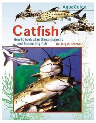 Catfish