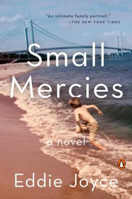 Small Mercies : A Novel