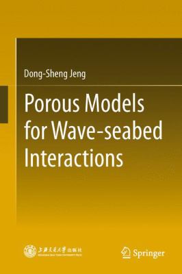Porous Models for Wave-Seabed Interactions