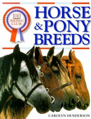 Horse and Pony Breeds