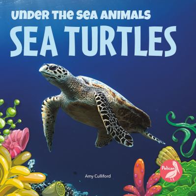 Sea Turtles