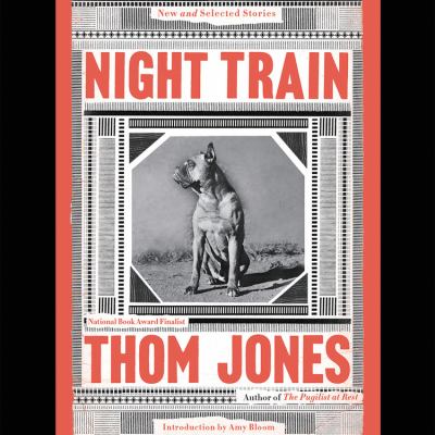 Night Train : New and Selected Stories