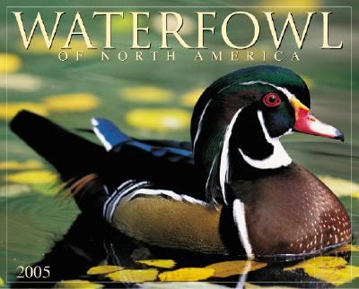 Waterfowl