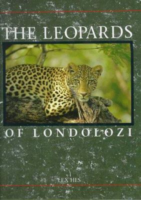 Leopards of Londolozi