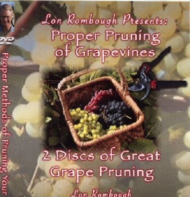 Proper Grape Pruning