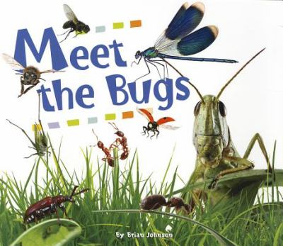 Meet the Bugs
