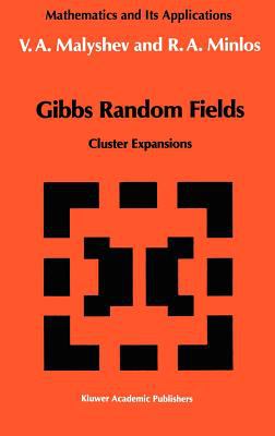 Gibbs Random Fields : Cluster Expansions