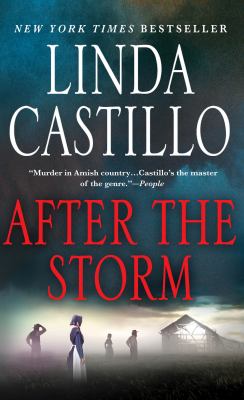 After the Storm : A Kate Burkholder Novel