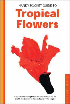 Tropical Flowers