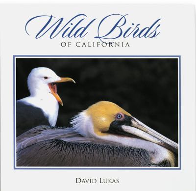 Wild Birds of California