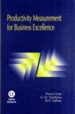 Productivity Measurement for Business Excellence