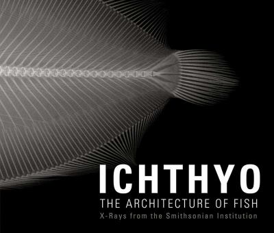 Ichthyo : The Architecture of Fish